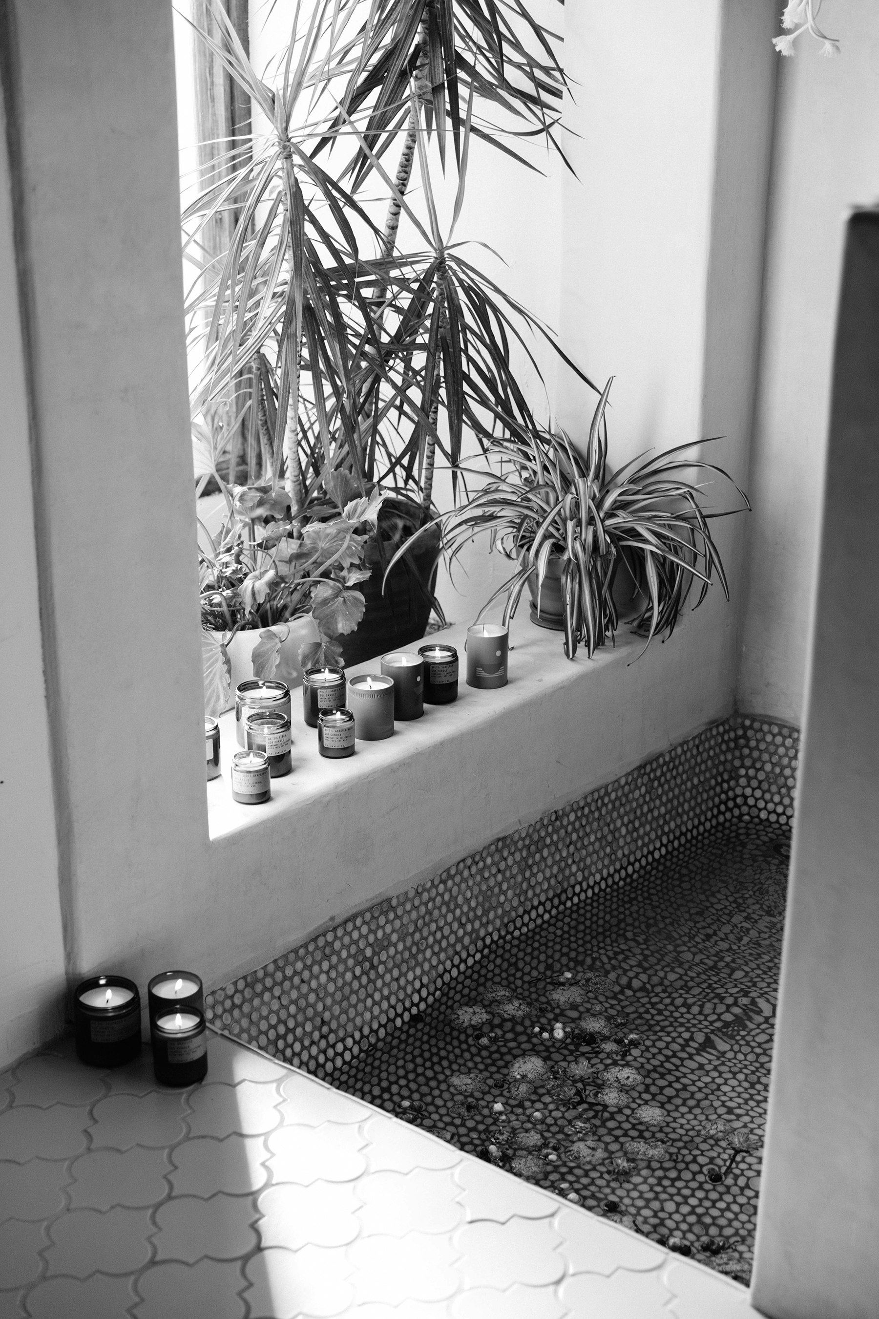 Blender p f candle co hero